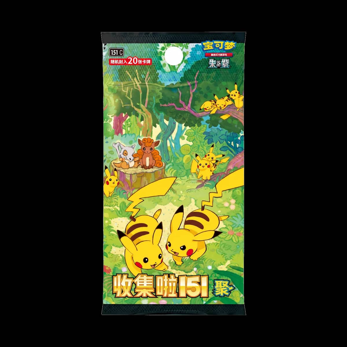Collect Journey V1 Jumbo Booster Pack